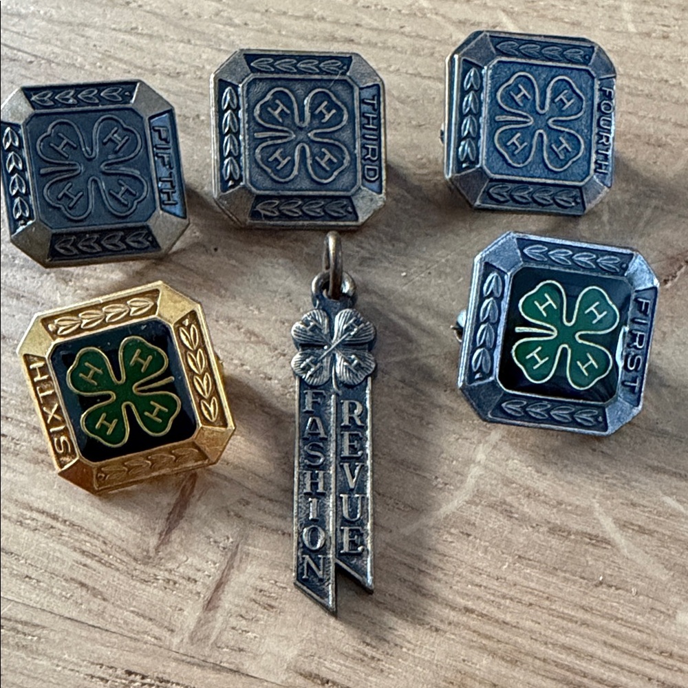 4-H Fashion Revue Pins and Pendant Set
